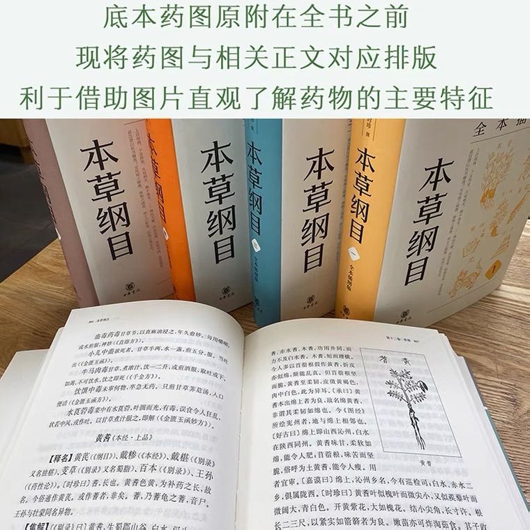 本草纲目原版全套五册李时珍著中華書局出版中国語-