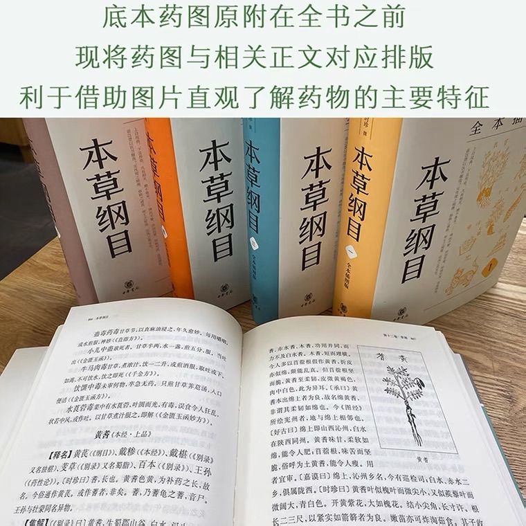 本草纲目原版全套五册 李时珍著 中华书局出版 中国語 - 書院門 - メルカリ