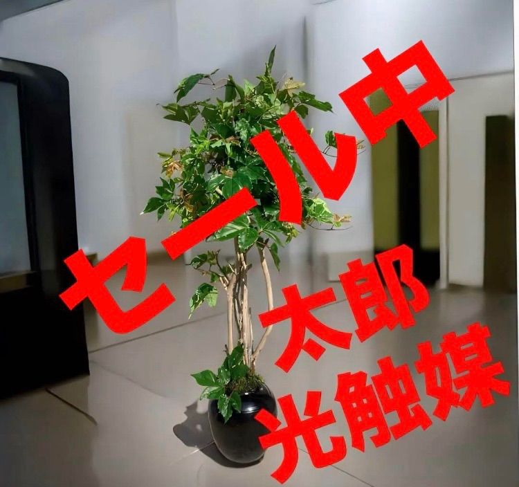 オーダー無料】やきいも 焼き芋 スイートポテト 看板 トップ 置物 雑貨