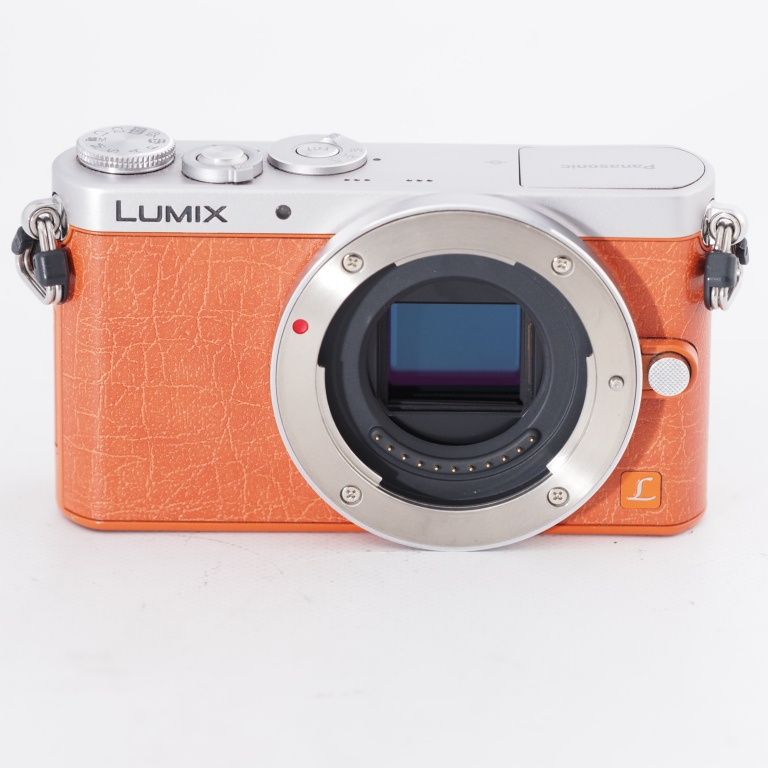 Panasonic パナソニック デジタル一眼カメラ ルミックス LUMIX GM1 