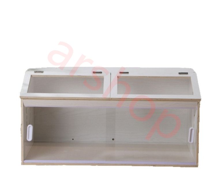 新品　小鳥なな　生写真　２枚セット Amazon.co.jp: セキセイインコ・鳥写真カレンダー2025 B6サイズ