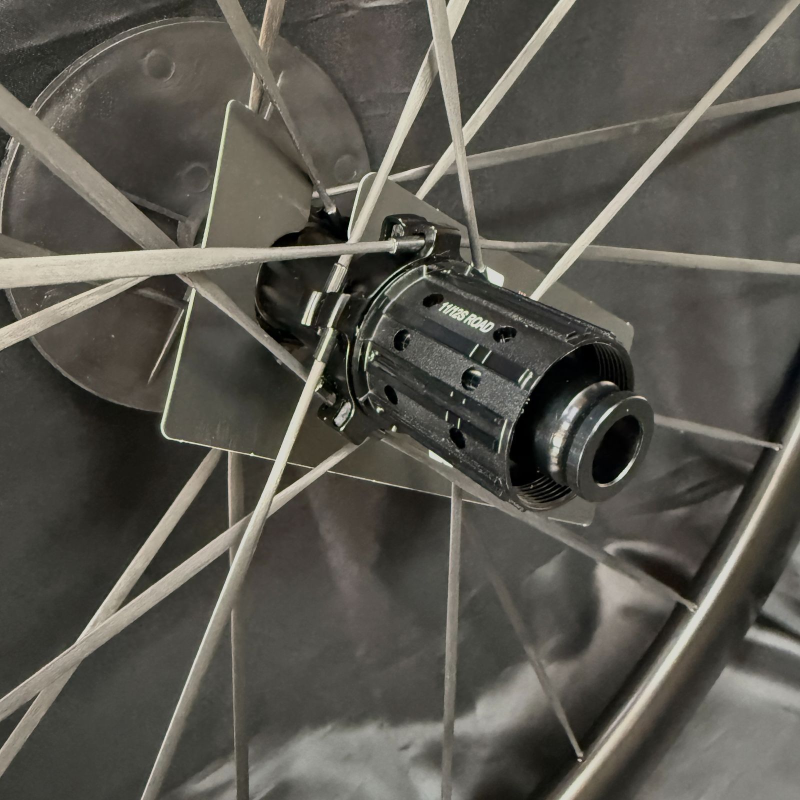 L4 Disc