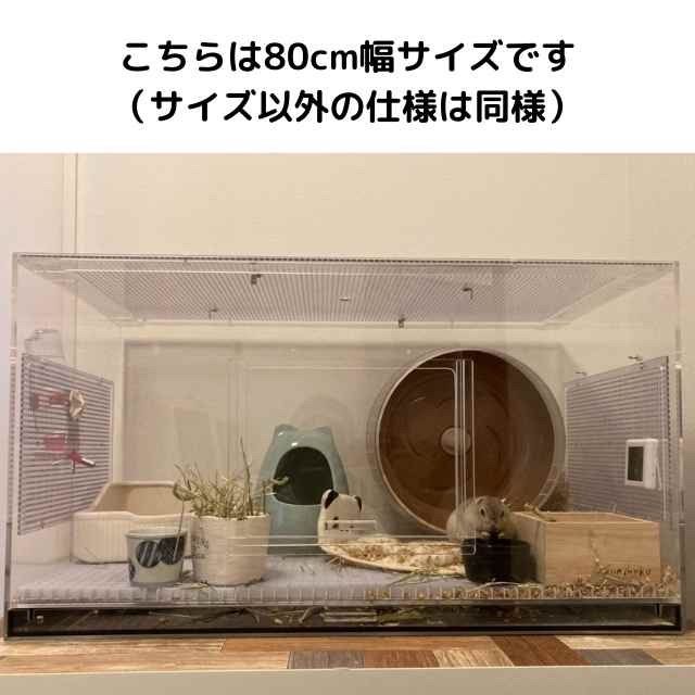 累計販売実績87台】リチャードソンジリス 65cm幅 アクリル 高級 飼育 ケース ケージ 日本製 - メルカリ