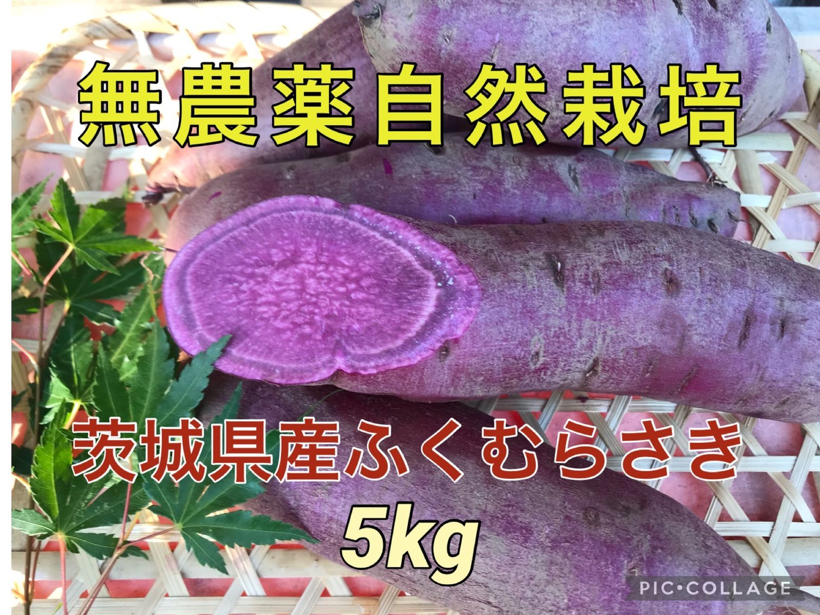 茨城産ふくむらさき - 野菜