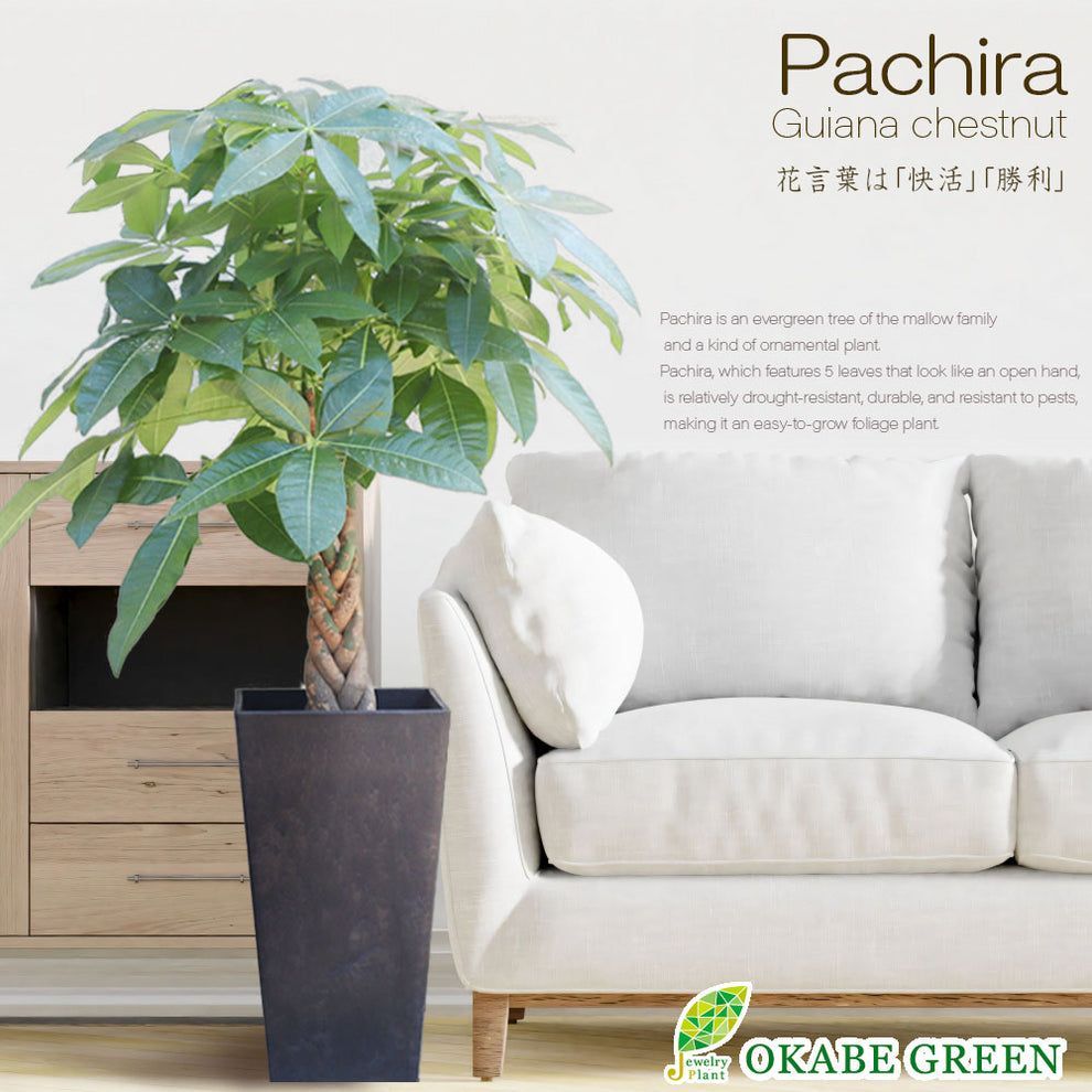 フリーセア Glow Plugまとめてセール中 最終値下げ フリーセア Glow