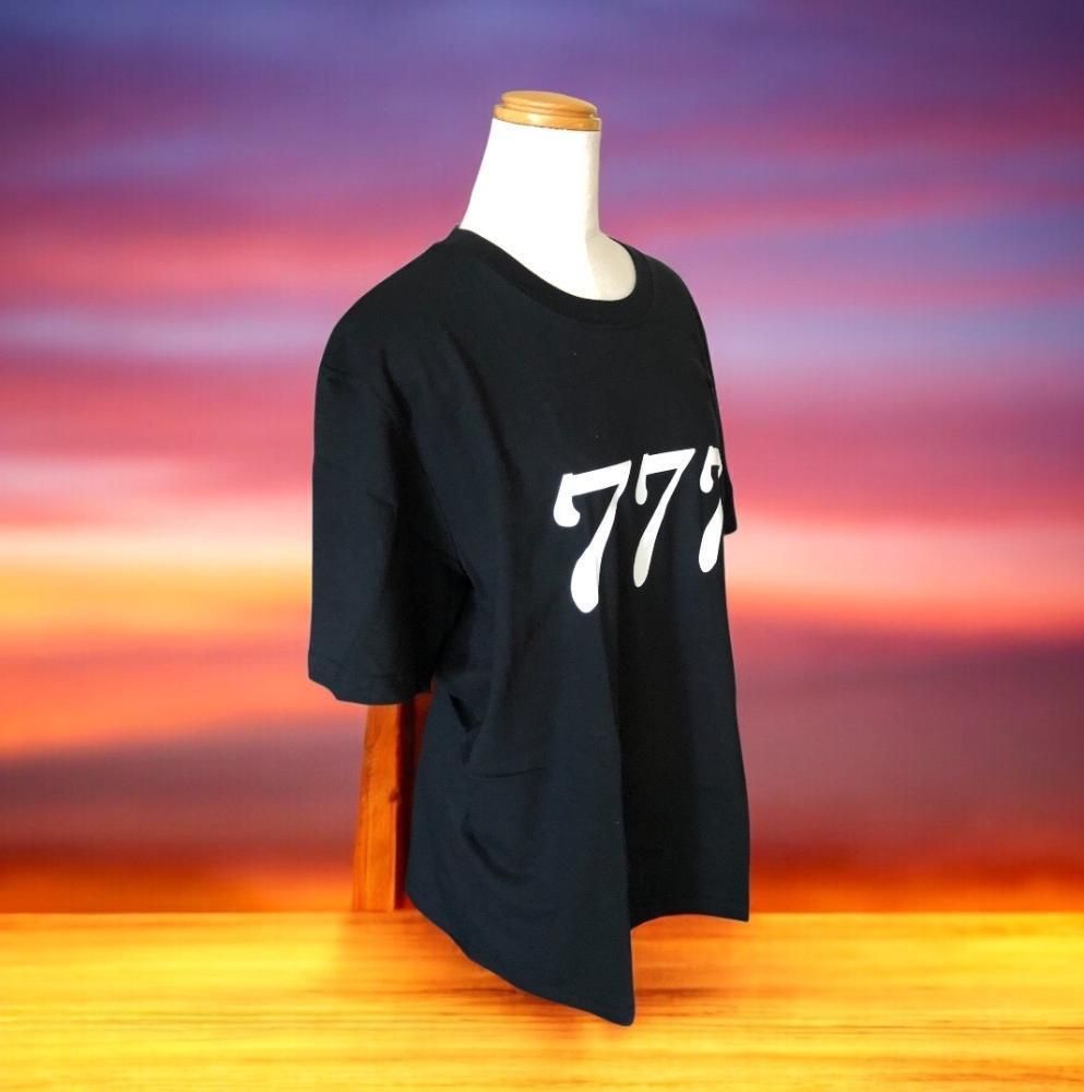 GTO着用風】反町隆史 777 Tシャツ ブラック 2XLサイズ - メルカリ