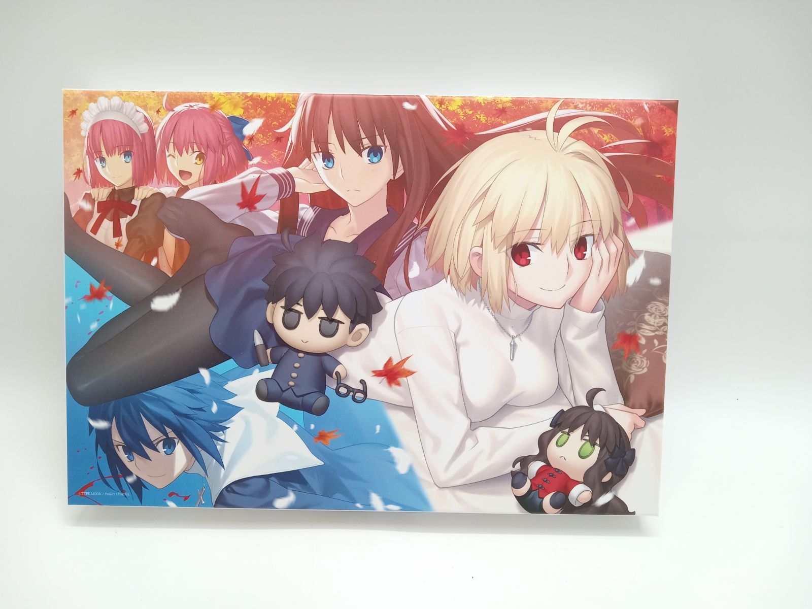 SWITCHソフト MELTY BLOOD TYPE LUMINA メルティブラッド タイプルミナ 5-2-1GG0152-231