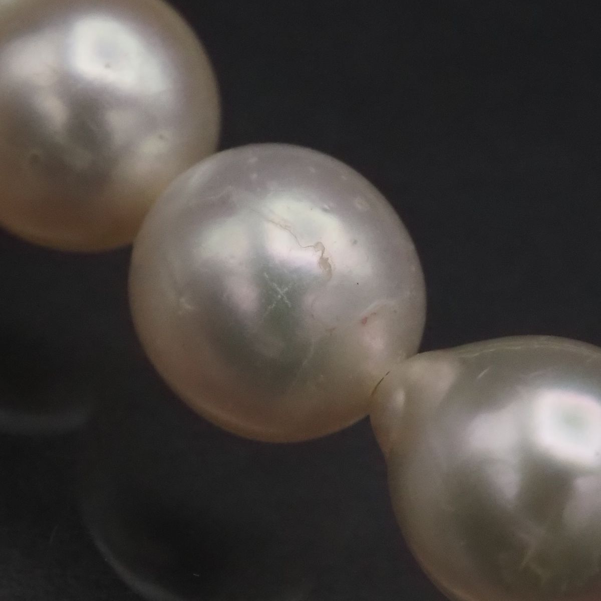 G010 本真珠 7.2mm珠 パール SILVER刻印 ネックレス デザイン