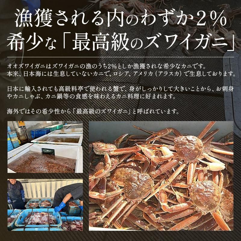 姿