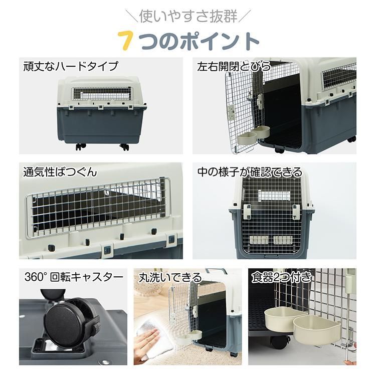 中型犬