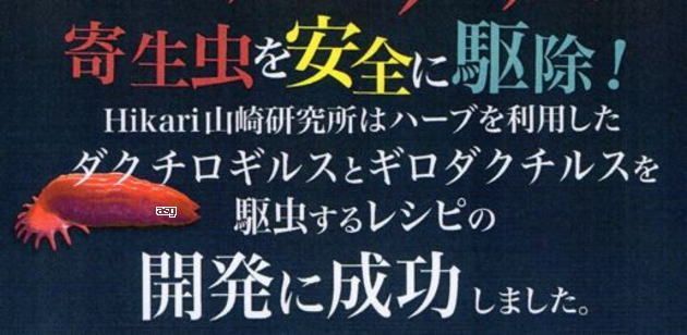 キョーリン パラクリア マッシュ 100g 育成用ではありません - メルカリ