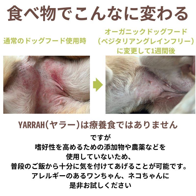 ヤラー