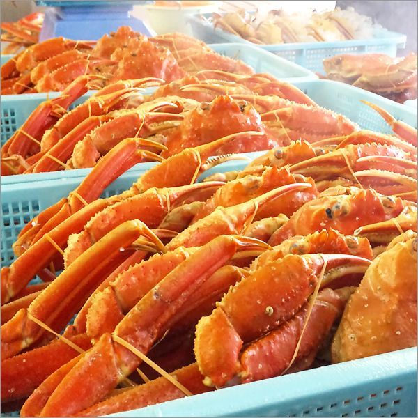 カニ 訳あり ズワイガニ 2kg (姿/3尾～4尾/ボイル/冷凍) わけあり かに 蟹 ずわい蟹 ズワイ蟹 カニみそ ボイル ご家庭用 お家用 お得 お買い得 北海道 北海道直送 グルメ お取り寄せ