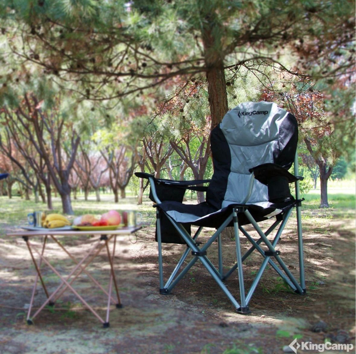 KingCamp アウトドア チェア 折り 値下げ中！ KingCamp バタフラチェア