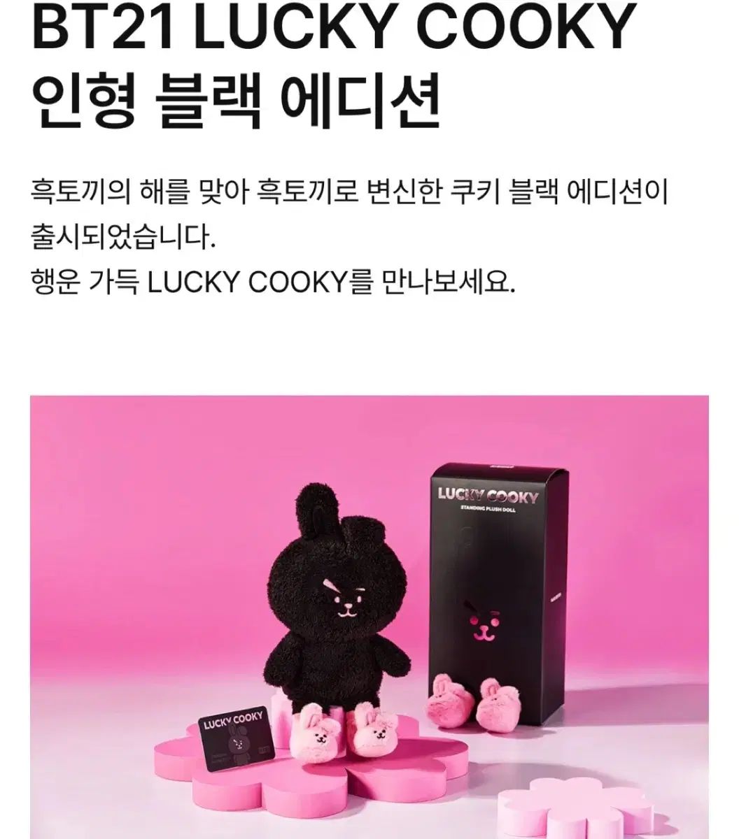 BT21 COOKY BTS ジョングク(JUNGKOOK・JK・グク) 人形