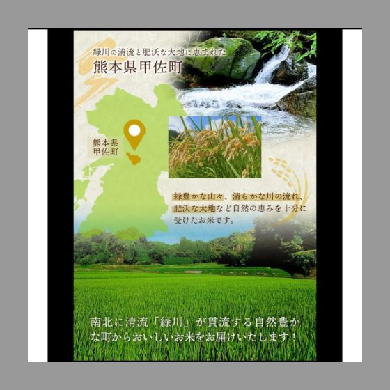新米 令和7年産『甲佐の輝き』精米10ｋｇ（5kg袋×2袋） 新米 令和7年産『甲佐の輝き』精米10kg（5kg袋×2袋） 2025.11精米