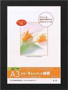 ナカバヤシ カラーVカットマット台紙 A3 ブラック DGVM-A3-D bme6fzu 生活家電 【】ナカバヤシ カラーVカットマット台紙 A3 ブラック DGVM