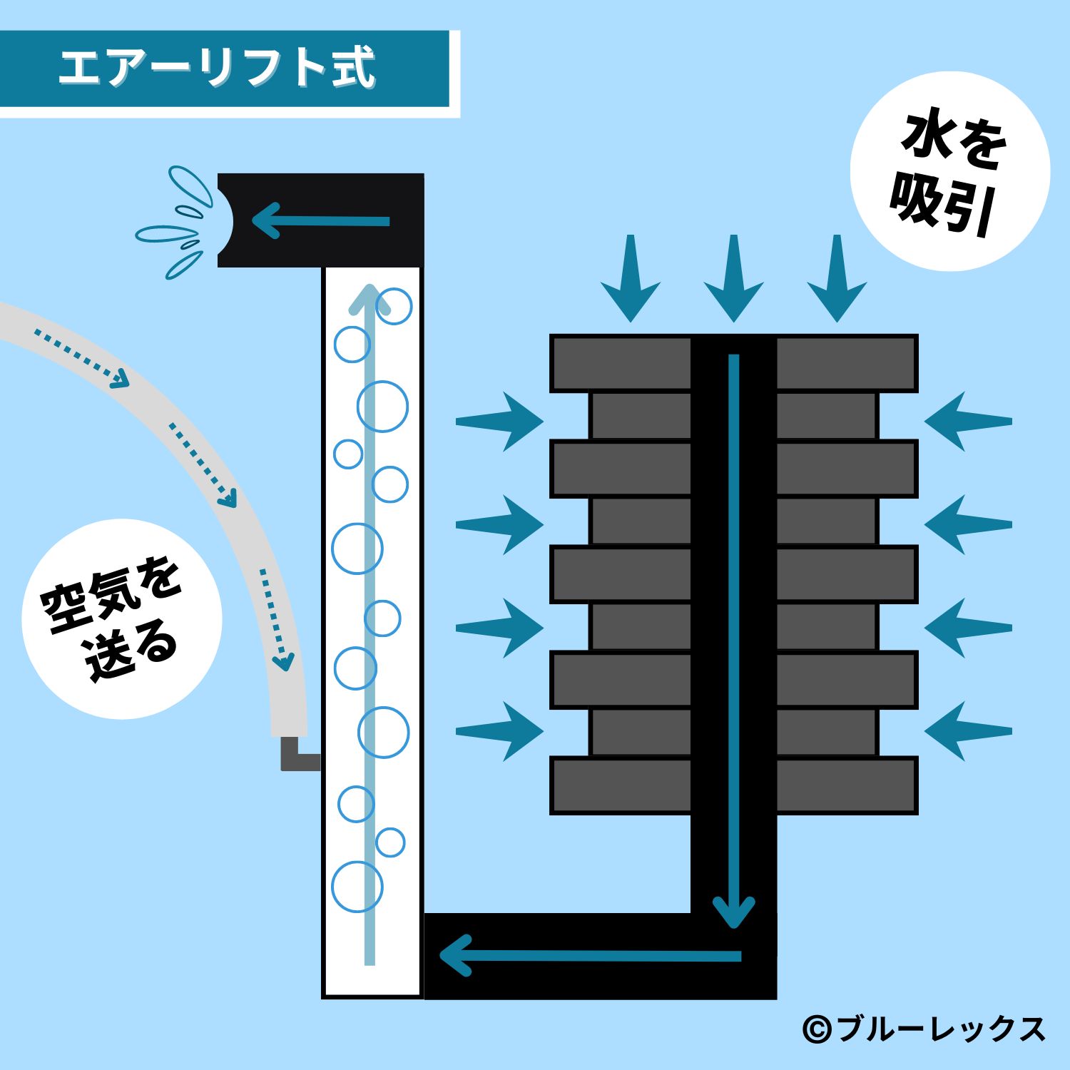 ブルーレックス】水槽 スポンジフィルター 大型 貼り付け式 メダカ