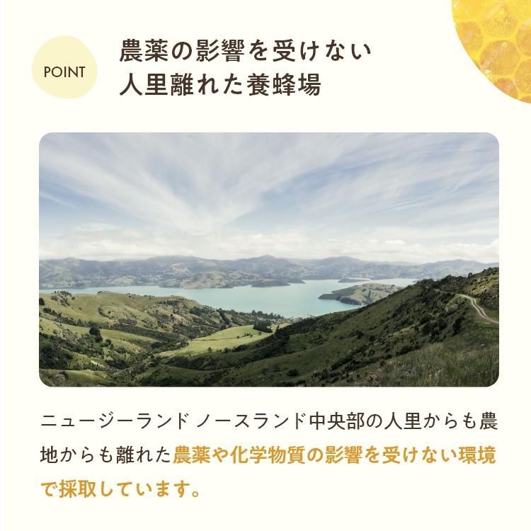 ハニーマザー