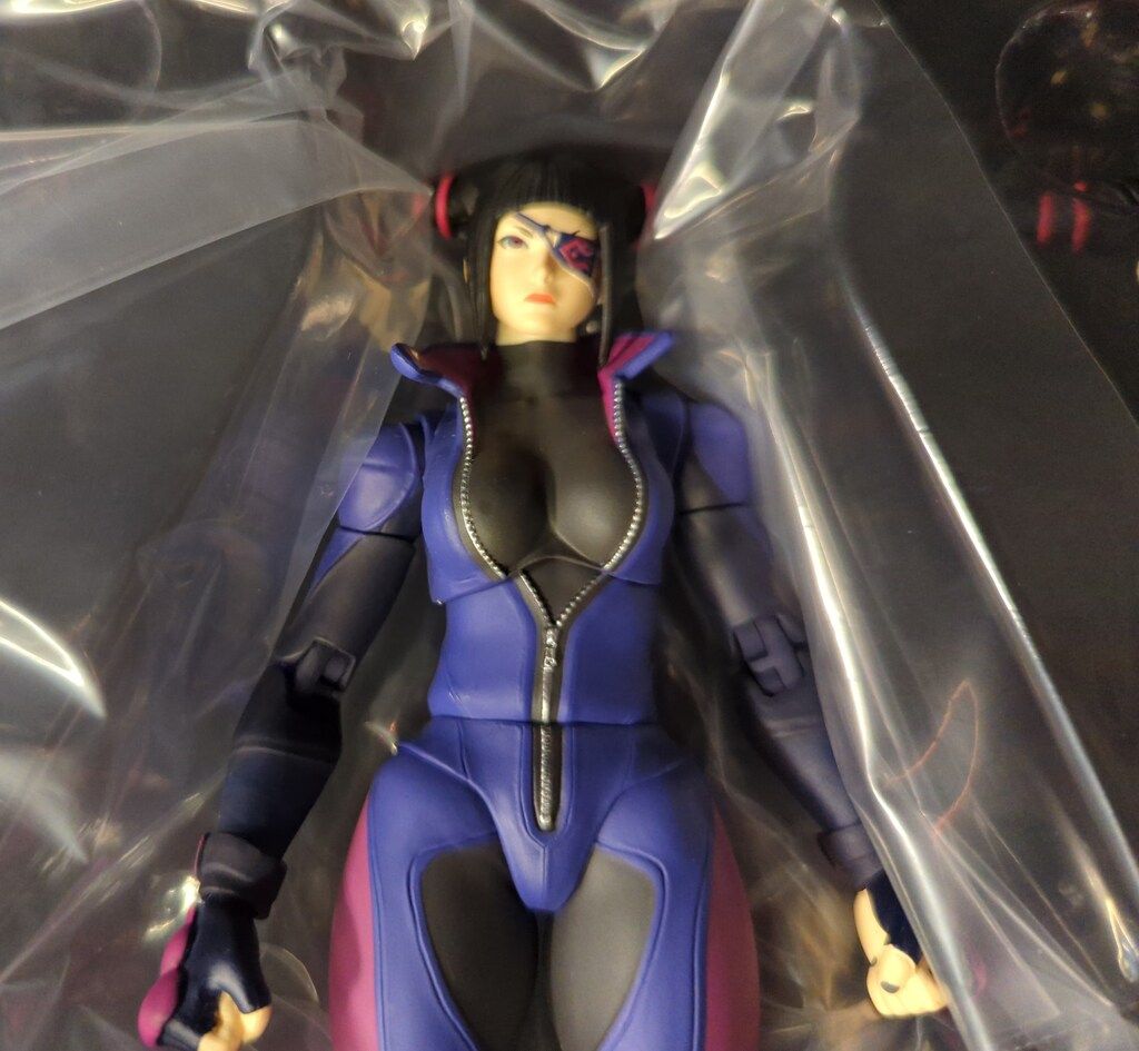 ◎未開封◎ストームコレクティブルズ　ストリートファイターV　ジュリ ホビーショップ I.T.R. / ストームコレクティブルズ ストリート