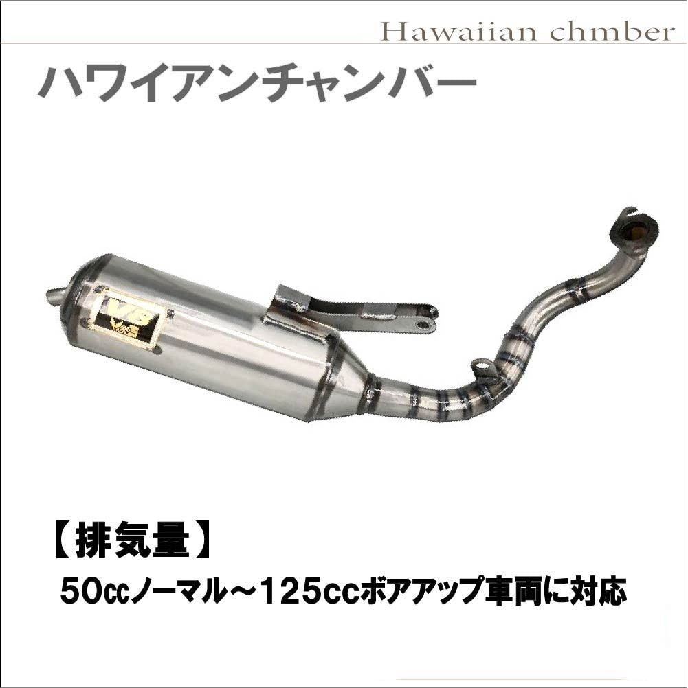 Life Design Johnson.116】ホンダ ディオ DIO 縦型 横型 V8 チャンバー