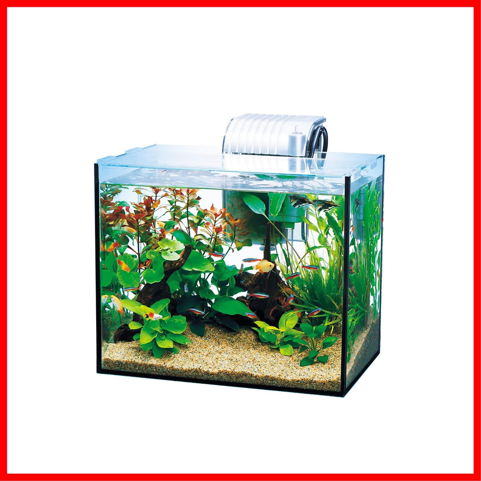 【人気商品】水槽 アクアリウム 水槽 GA-300F 熱帯魚 オールグラスアクアリウム メダカ ガラス (Tetra) 金魚 テトラ