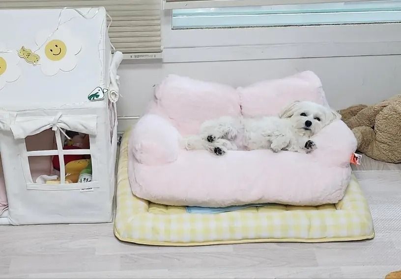 犬 ソファペットソファ