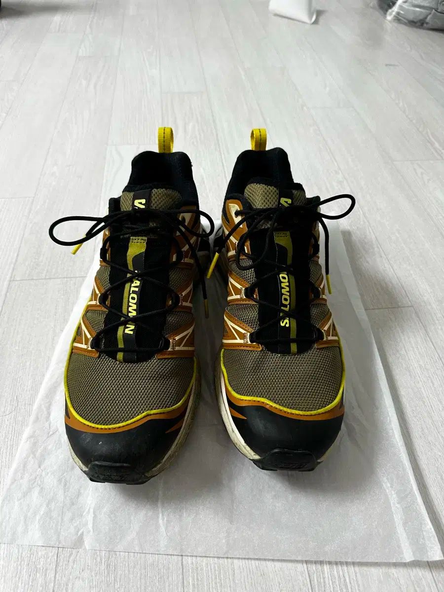 SALOMON