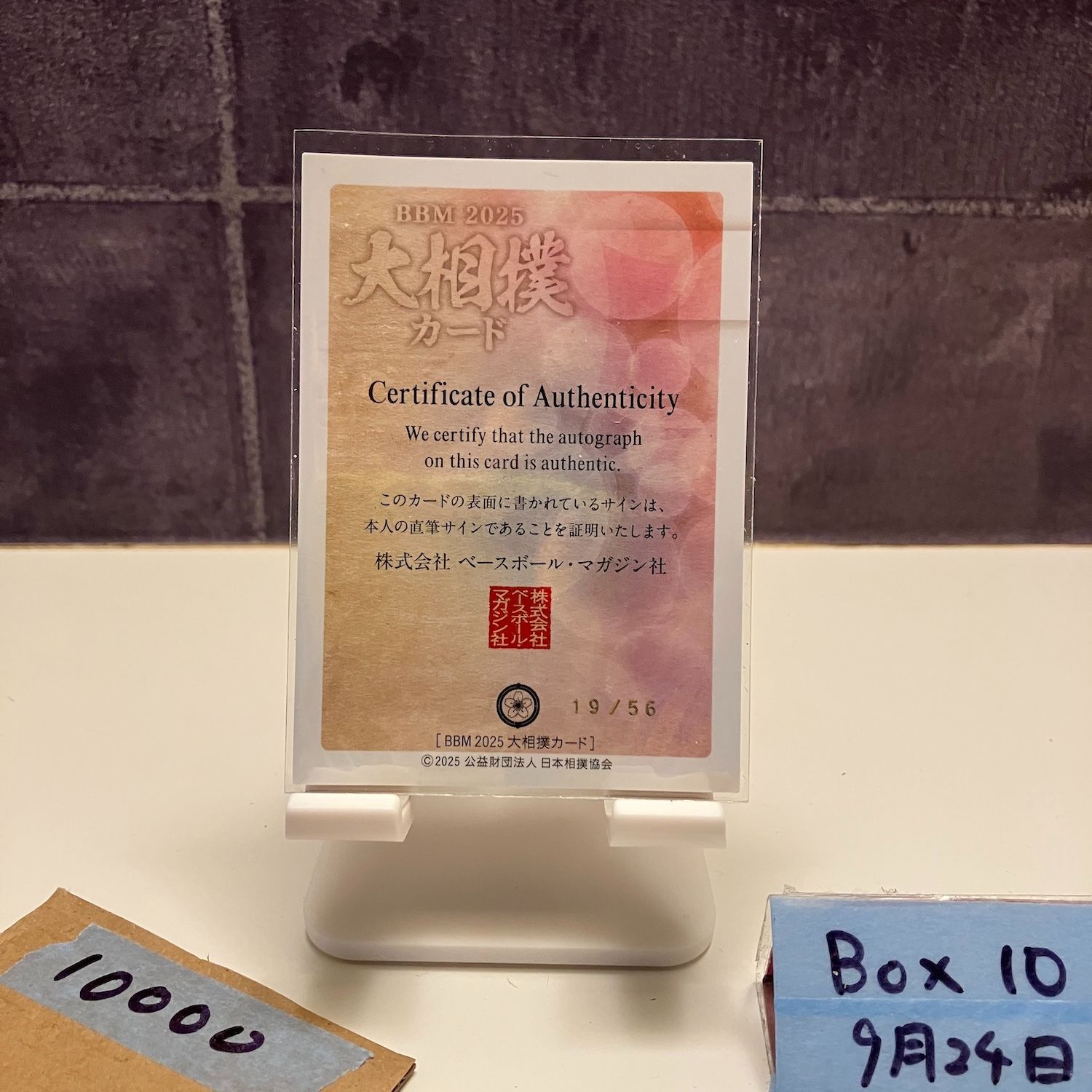 2025 BBM 正代直也 19 56 直筆サイン 時津風部屋 カード