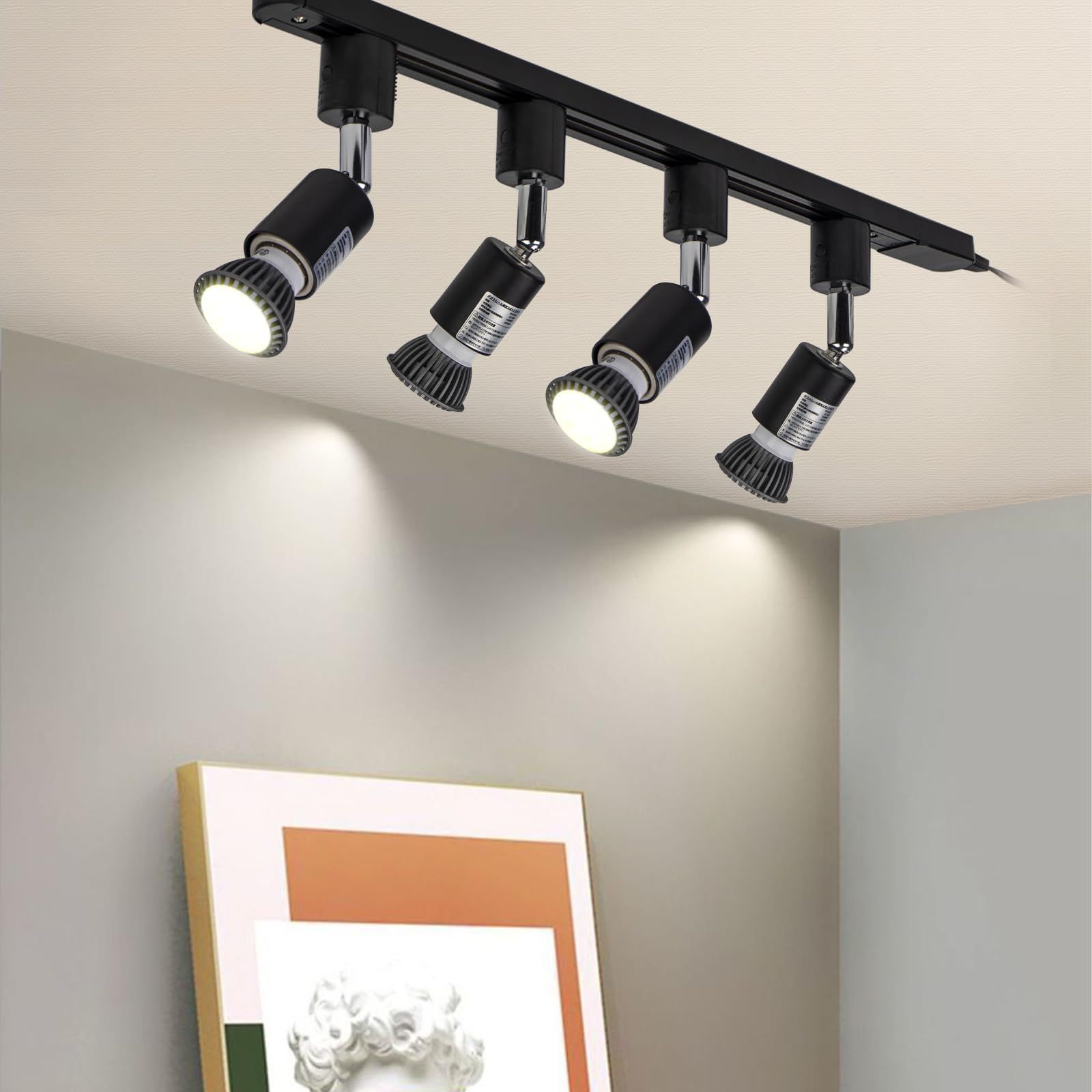 BRID LIGHTING DUCT RAIL with LED ダクトレール黒 003363 LIGHTING