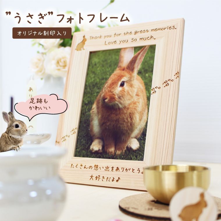 nekoちゃん様専用オリーブの木 souju 「ミッション」8号 特大苗木最高