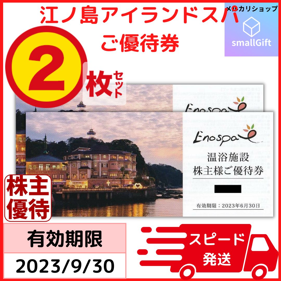 飯田グループ 株主優待券 江の島アイランドスパ 温浴エリア1日利用券 2