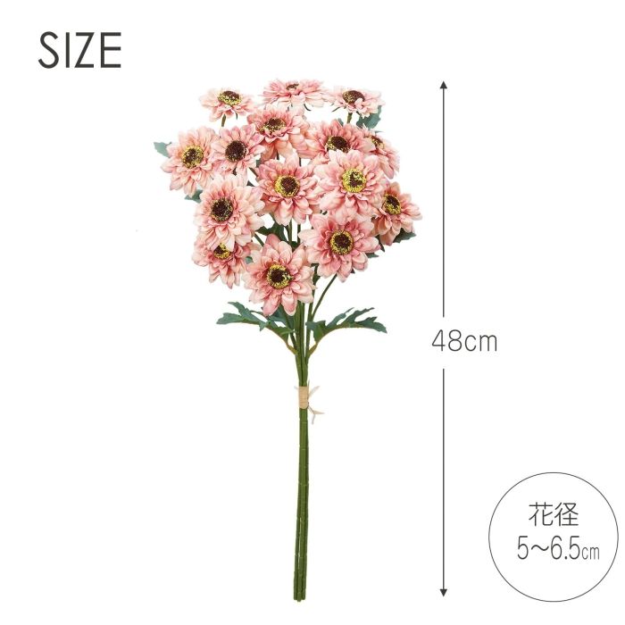 1束3本