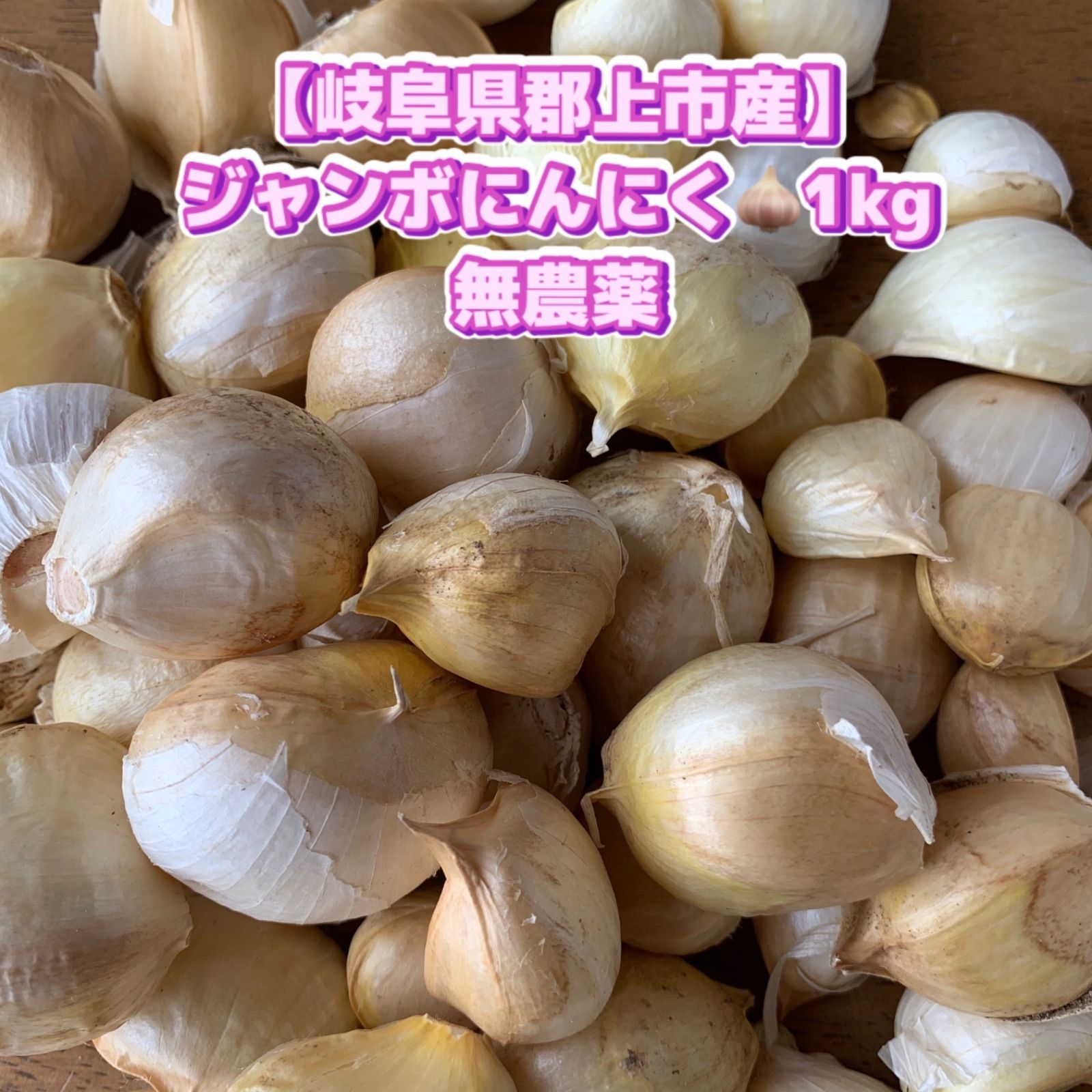 ジャンボにんにく1kg 岐阜県産 無農薬 2024年収穫 - メルカリ