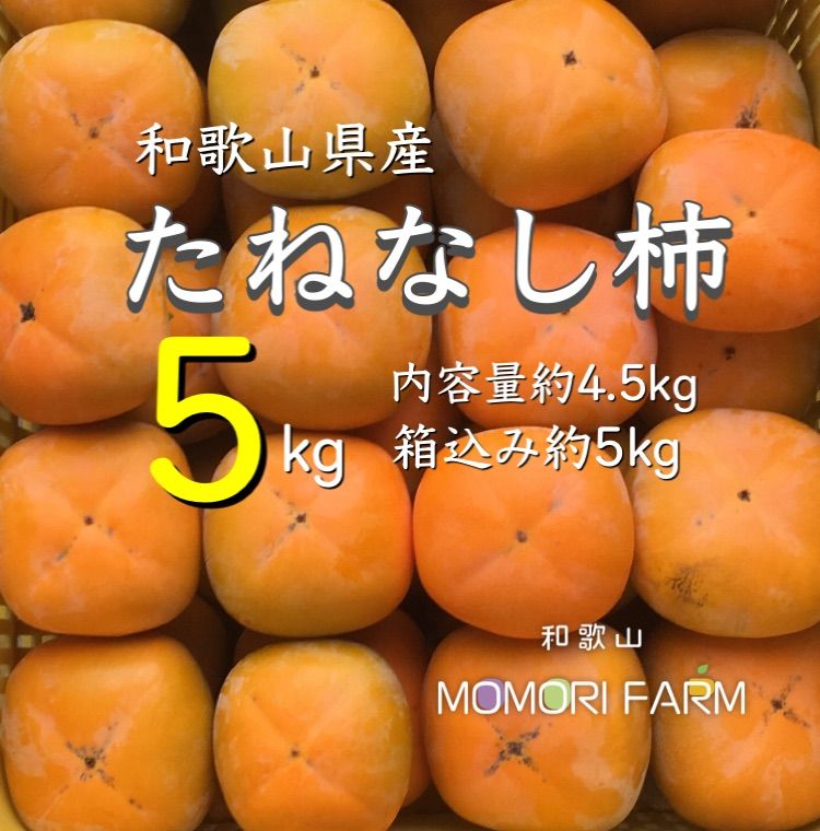和歌山県産　たねなし柿