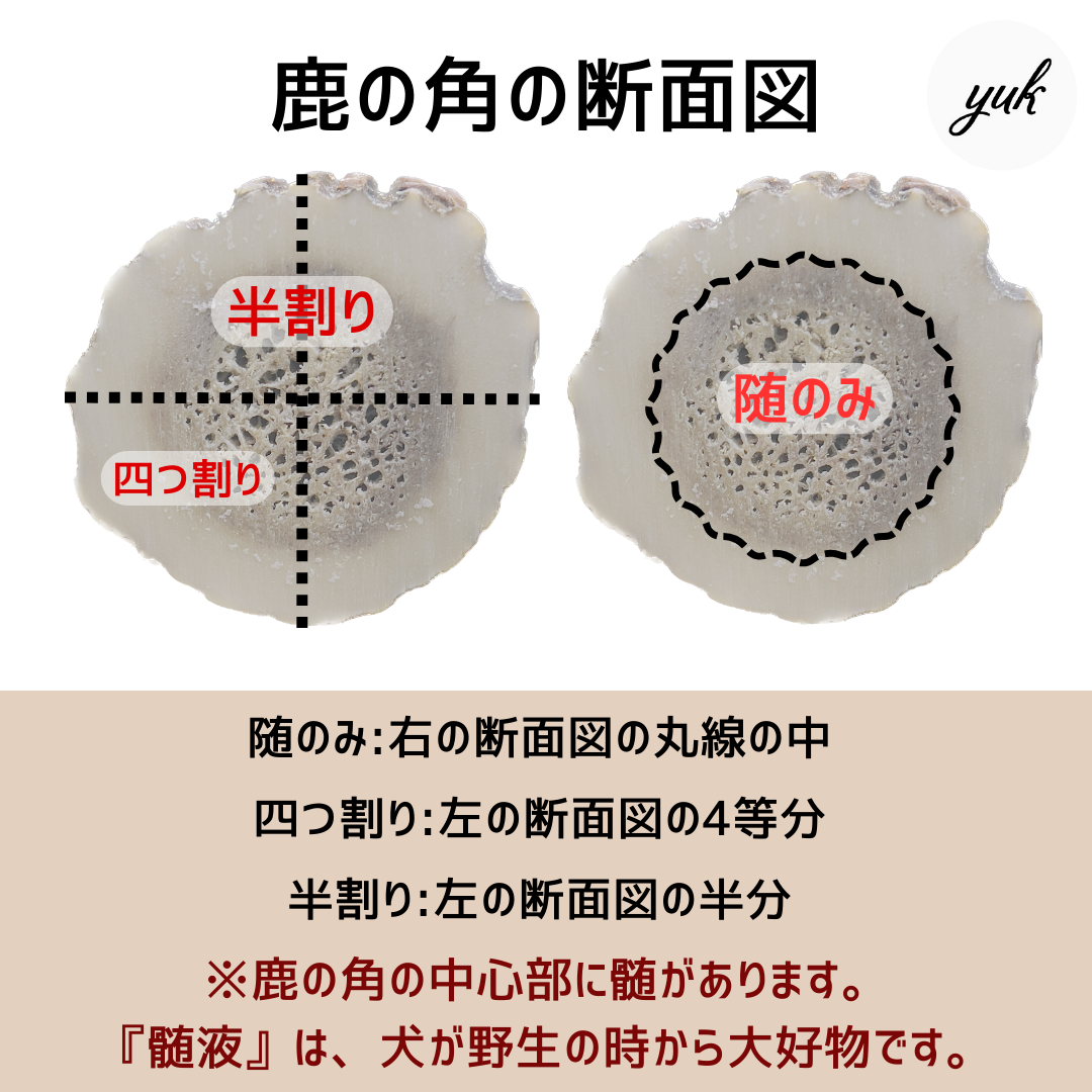 【送料無料】🐶小型犬用🐶一本物 先端🦌北海道産エゾ鹿の角🦌犬のおもちゃ🐕鹿の骨　B