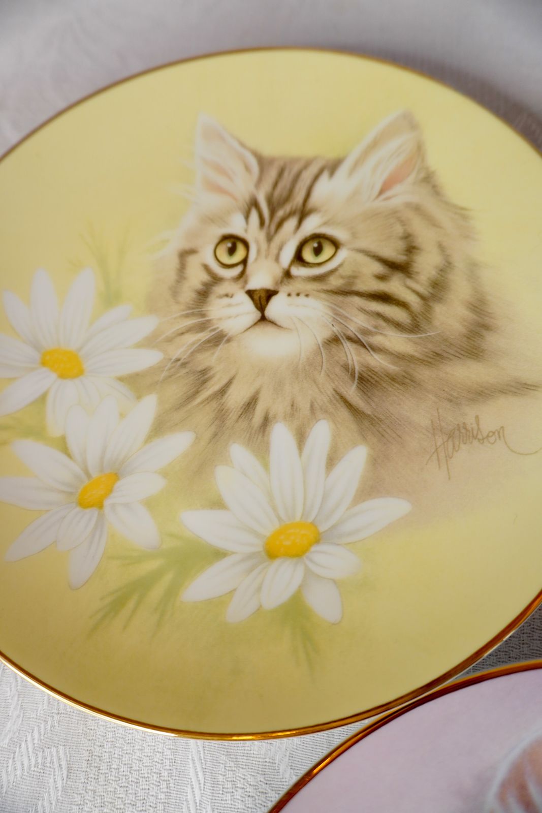 美術品・アンティーク・コレクション イギリス ヴィンテージ 猫 絵皿 3