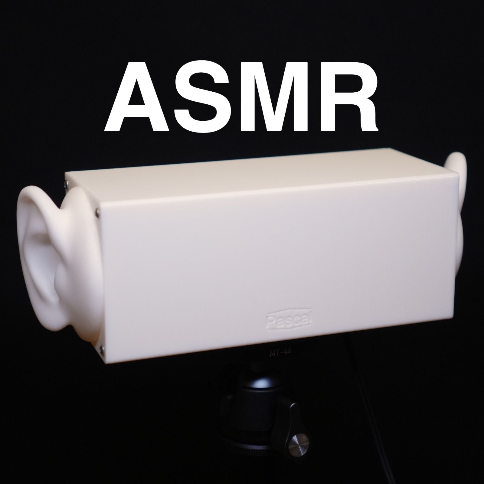 ぱすかる出品 ASMR マイク ぱすかる出品 ASMR マイク バイノーラル