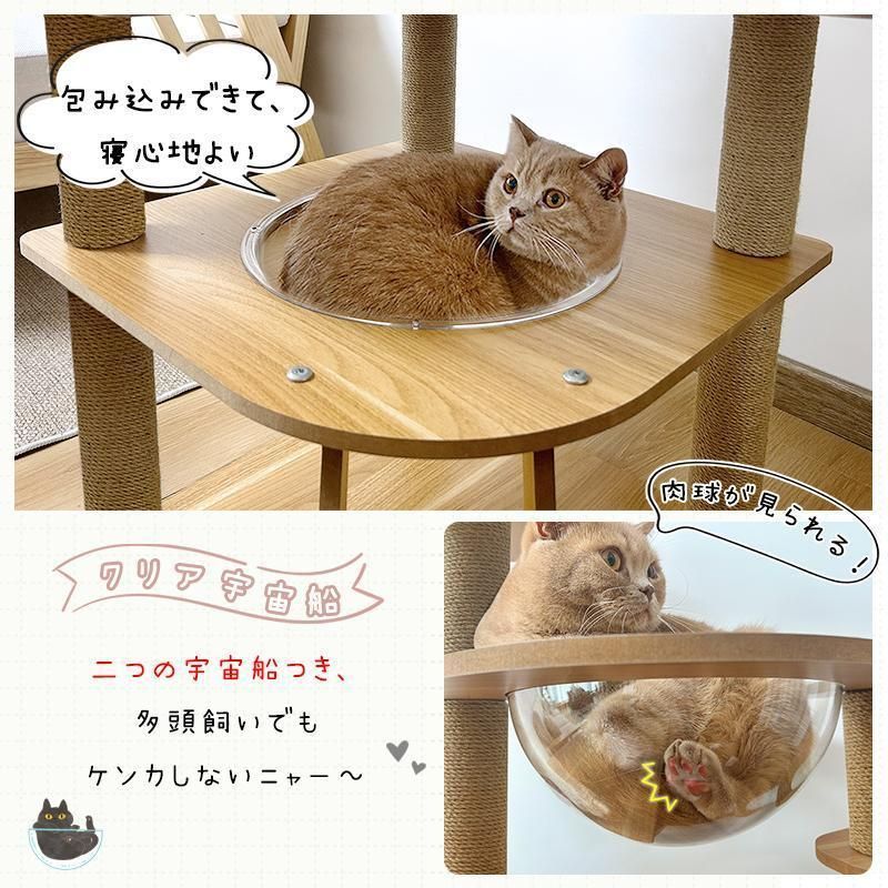 ねこタワー ヤフー1位