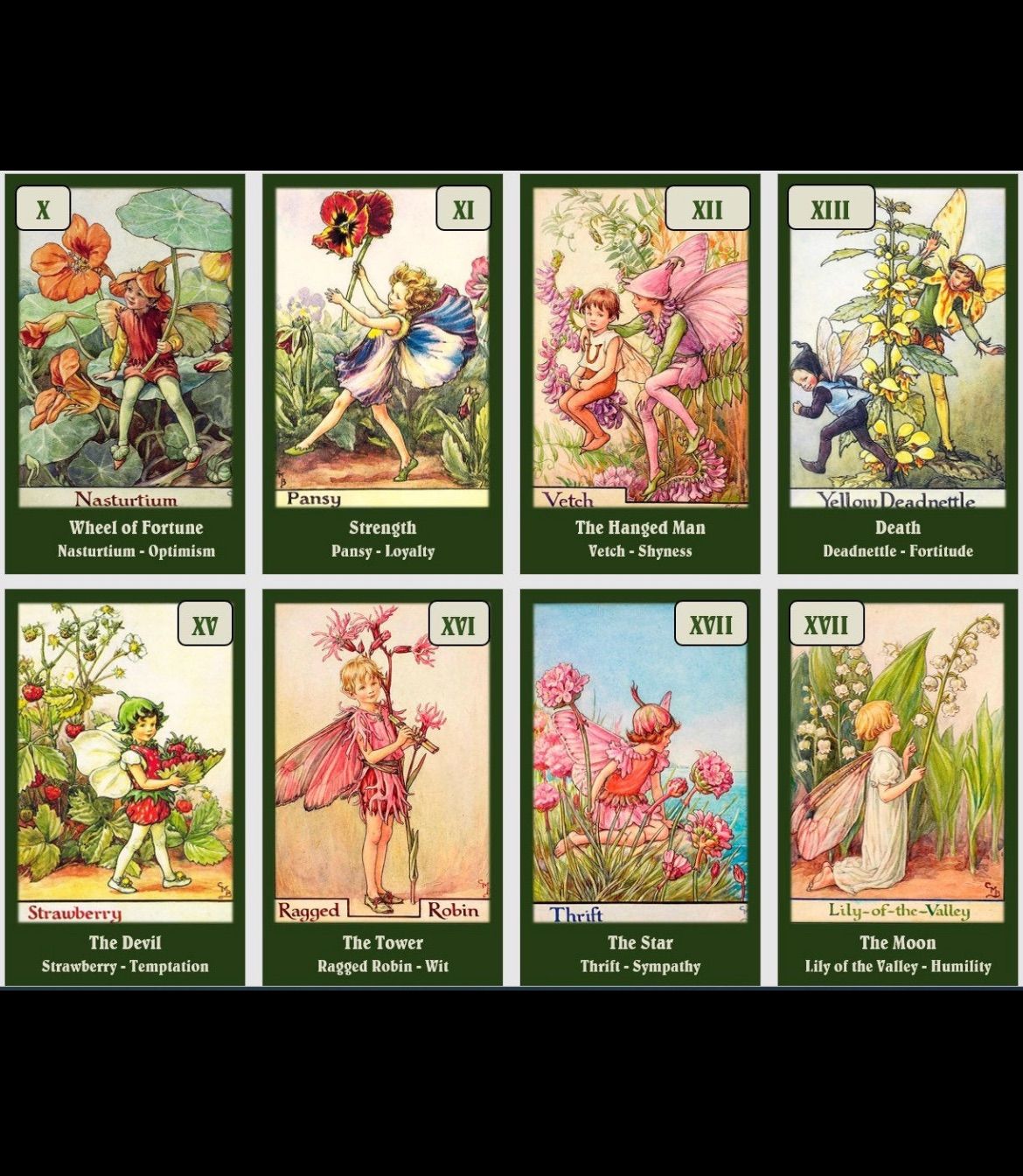 フラワーフェアリータロット Flower Fairies Tarot deck - メルカリ