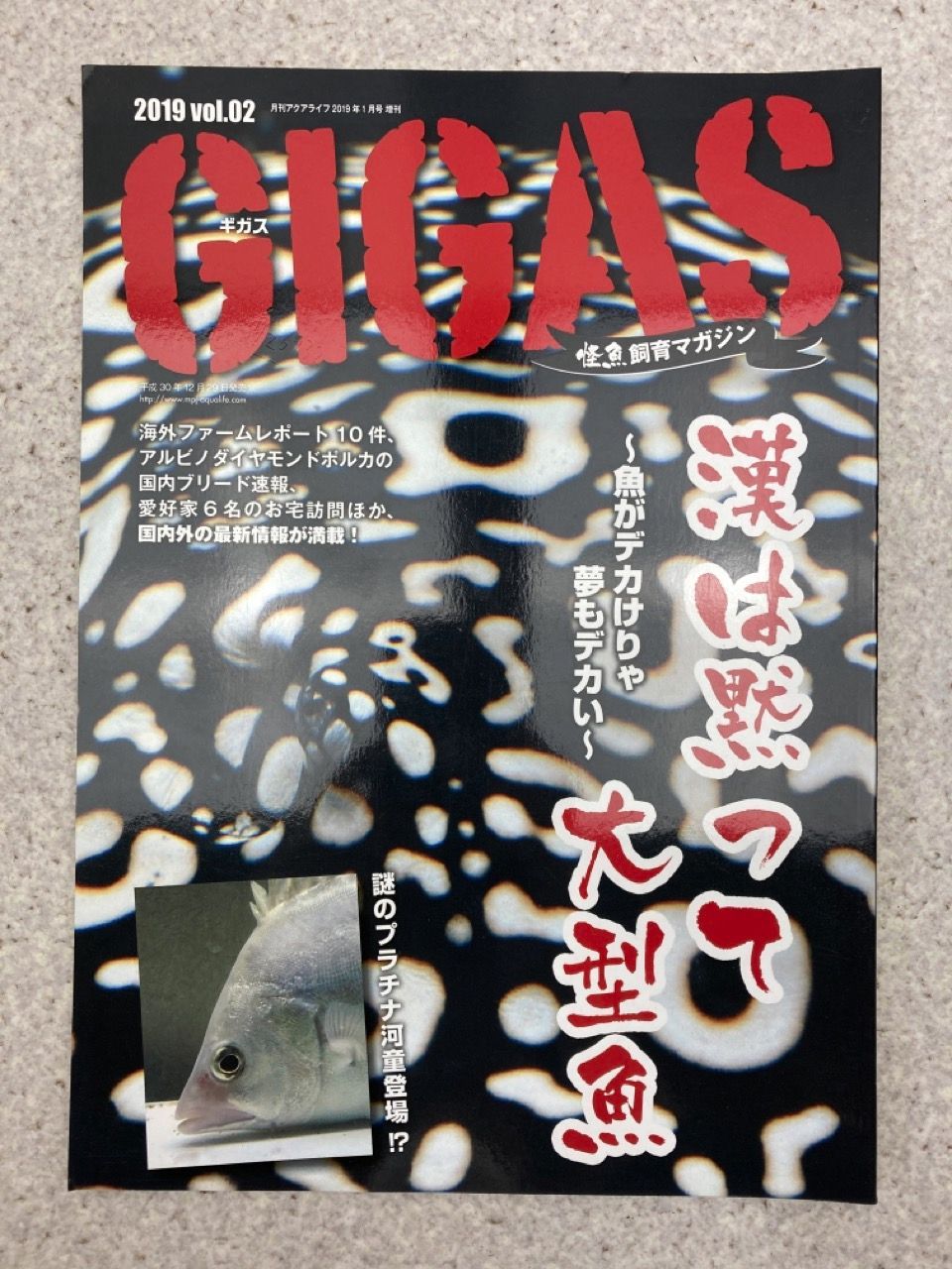 GIGAS ギガス　怪魚飼育マガジン　2019　vol.2 月刊アクアライフ　2019年1月号　増刊