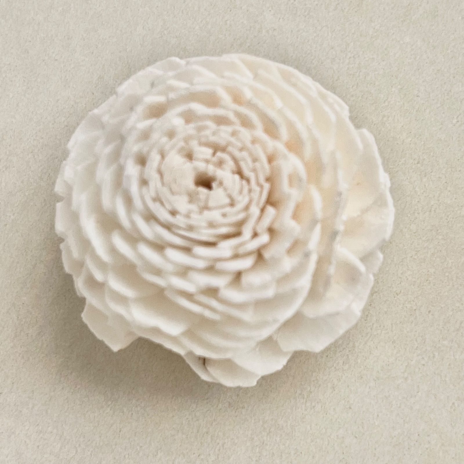 ソラフラワー(ソーラーフラワー) ヘッド ローズ(ホワイト) M 30個