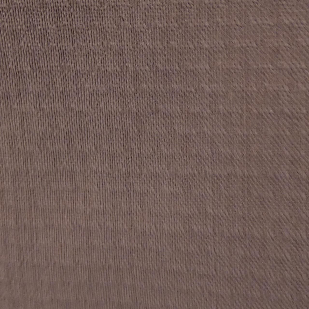 PINOLERARIO ジャケット