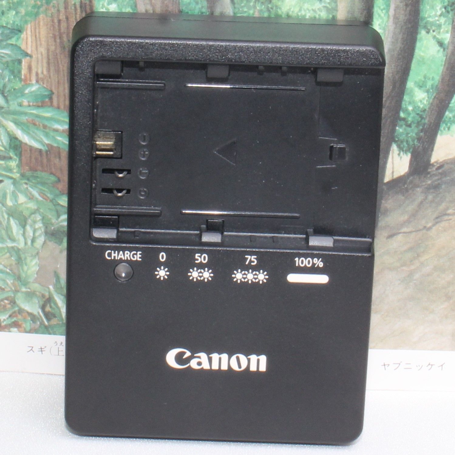 ☆紛失にお困りの方☆純正品 Canon キャノン 充電器 LC-E6☆-