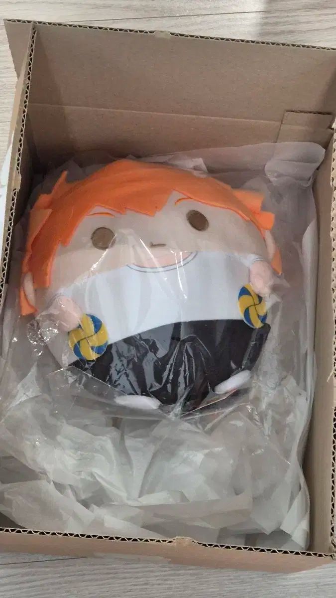 中古】 イスラームと開発 カラーコラムにおけるイスマーイール派