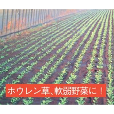 ミストエース 潅水チューブ