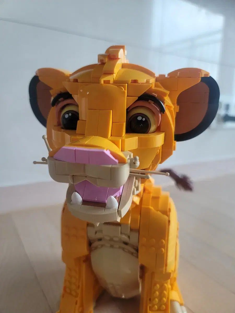 シンバ ライオン