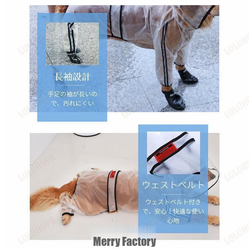 お散歩 お出かけ