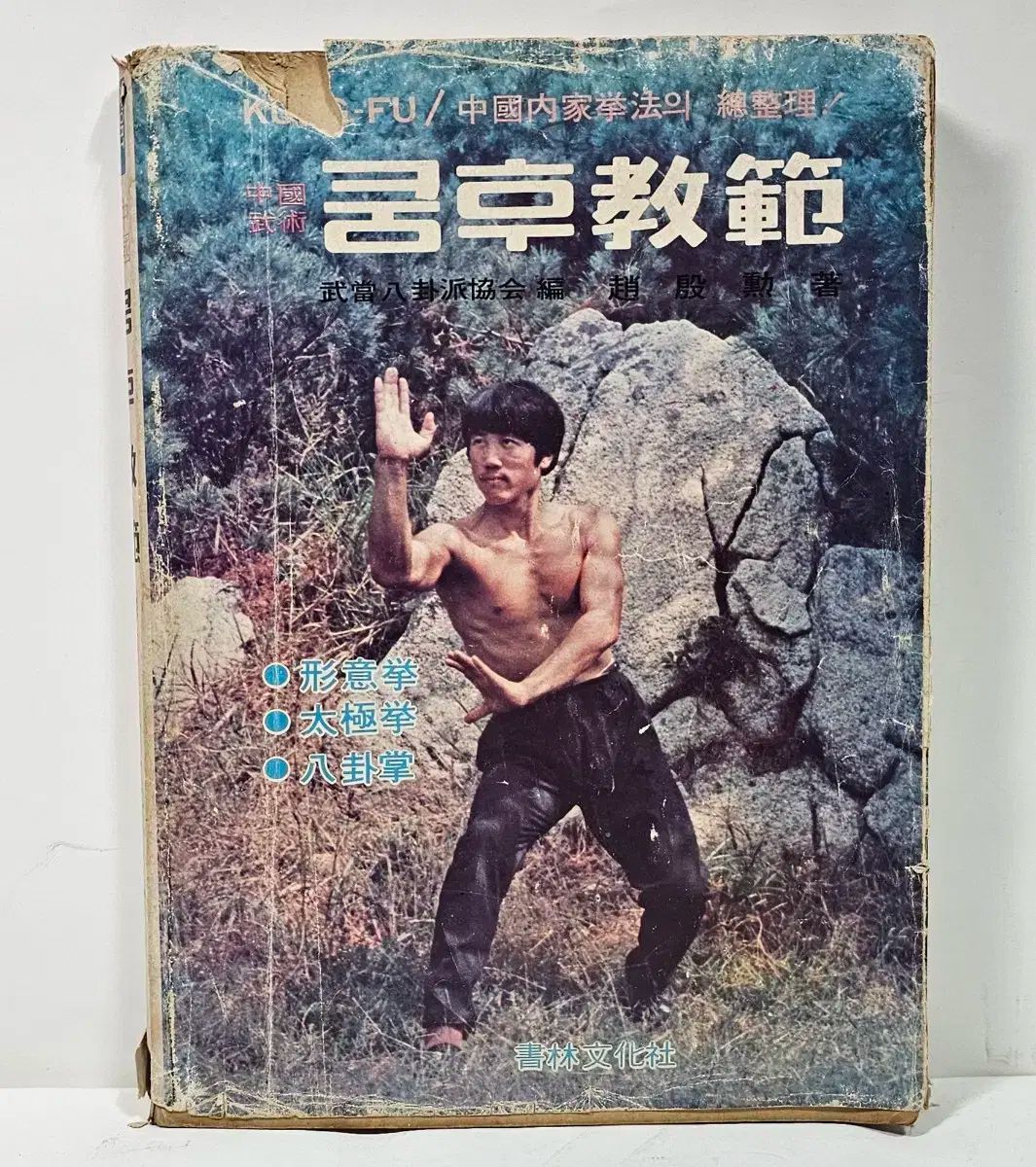 1984 年 カンフーマニュアル