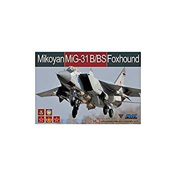 中古】(未使用・未開封品) アバンギャルドモデル 1/48